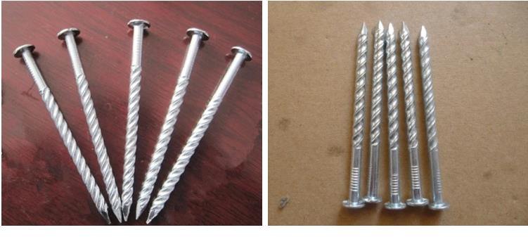 Galvanized Corrugated Roofing Collated Nails